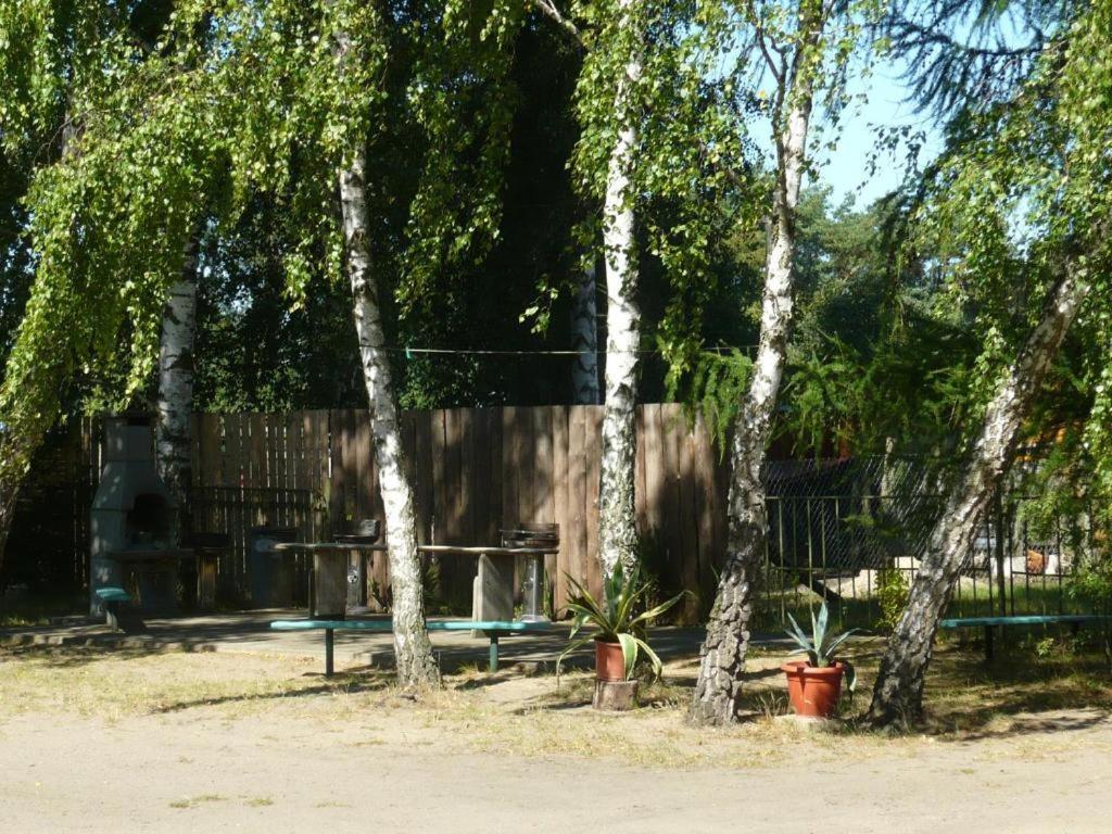 Uns lütt Wohnung Nossentiner Huette Exterior foto
